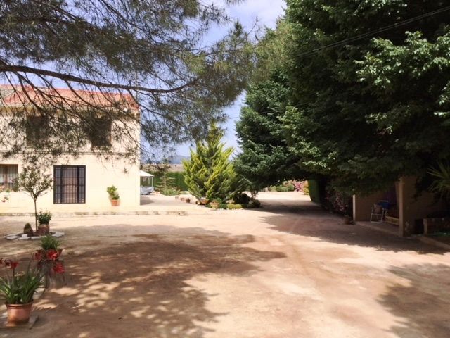 Vinalopó Mitjà